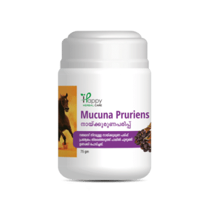 Naikurana Seed Powder, Mucuna Pruriens Powder