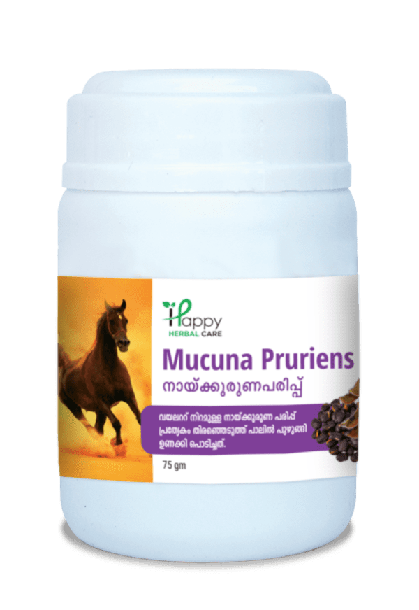 Mucuna Pruriens POWDER