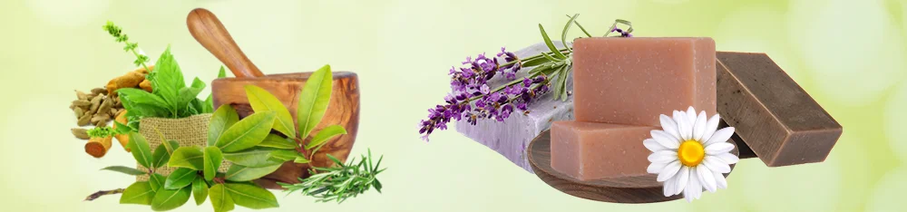 Best Herbal Soaps in Kerala
